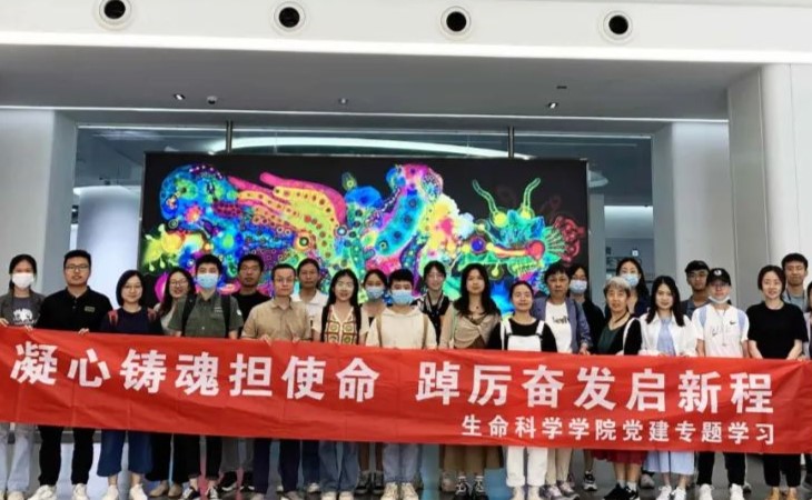 巢上新势力丨新生巢 × 北师大 创新生态与职业规划之旅