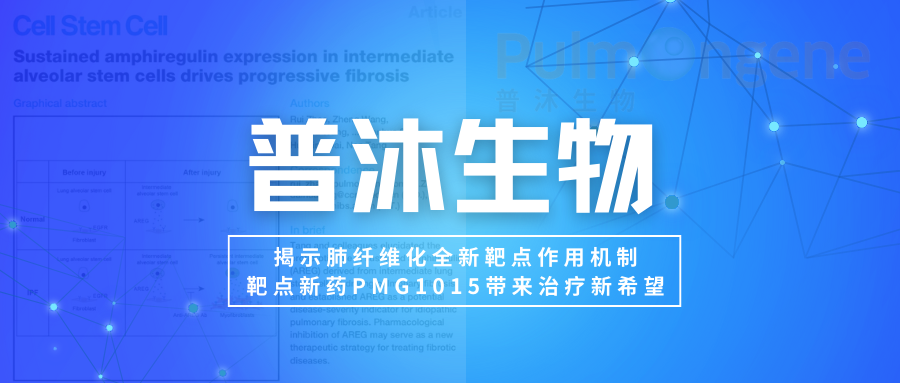 企业资讯丨普沐生物：揭示肺纤维化全新靶点作用机制，靶点新药PMG1015带来治疗新希望！