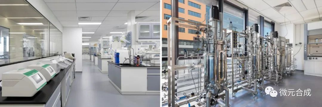 企业资讯丨微元合成：再获3亿元融资，聚焦稀有糖量产技术