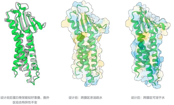 企业资讯丨百奥几何GeoFlow V2 重磅发布，全球首个全原子通用蛋白质大模型，统一生命分子的结构预测与从头生成